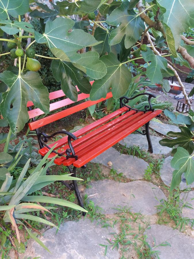 לינה וארוחת בוקר Ousson-sur-Loire La Chaumiere מראה חיצוני תמונה